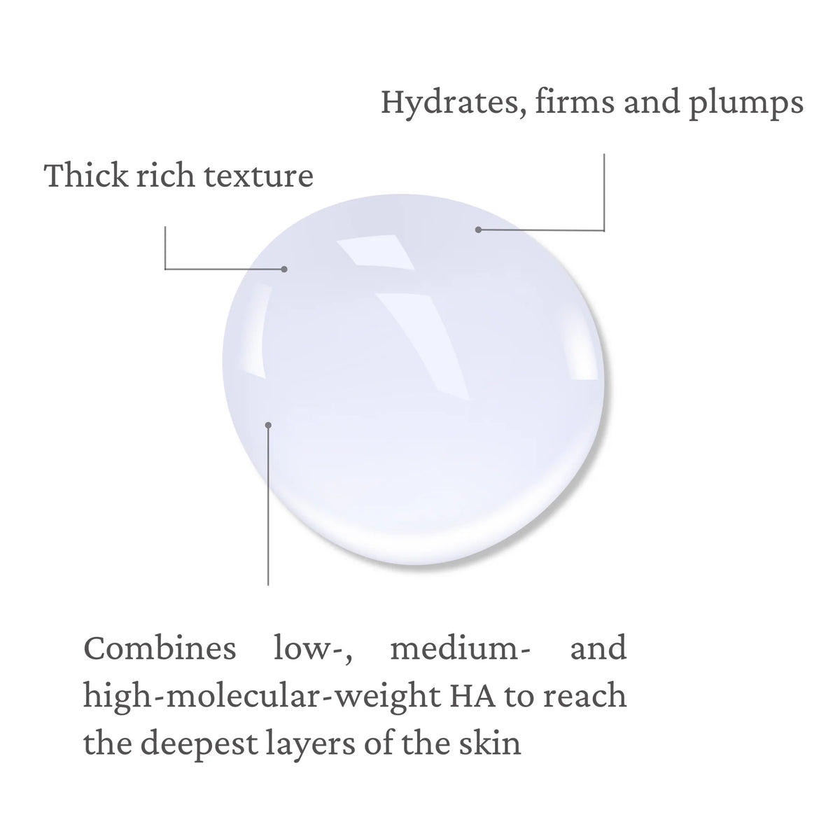 Ecladerm Phyto Retinol Serum 30ml | Anti-Aging Serum