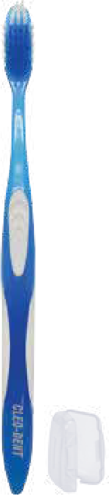Cleo-Dent Medium Tooth Brush-1