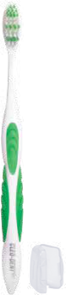 Cleo-Dent Gum Protect Tooth Brush Soft-1