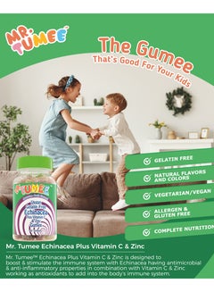 Mr. Tumee Echinacea Plus Vitamin C and Zinc Gummies-2