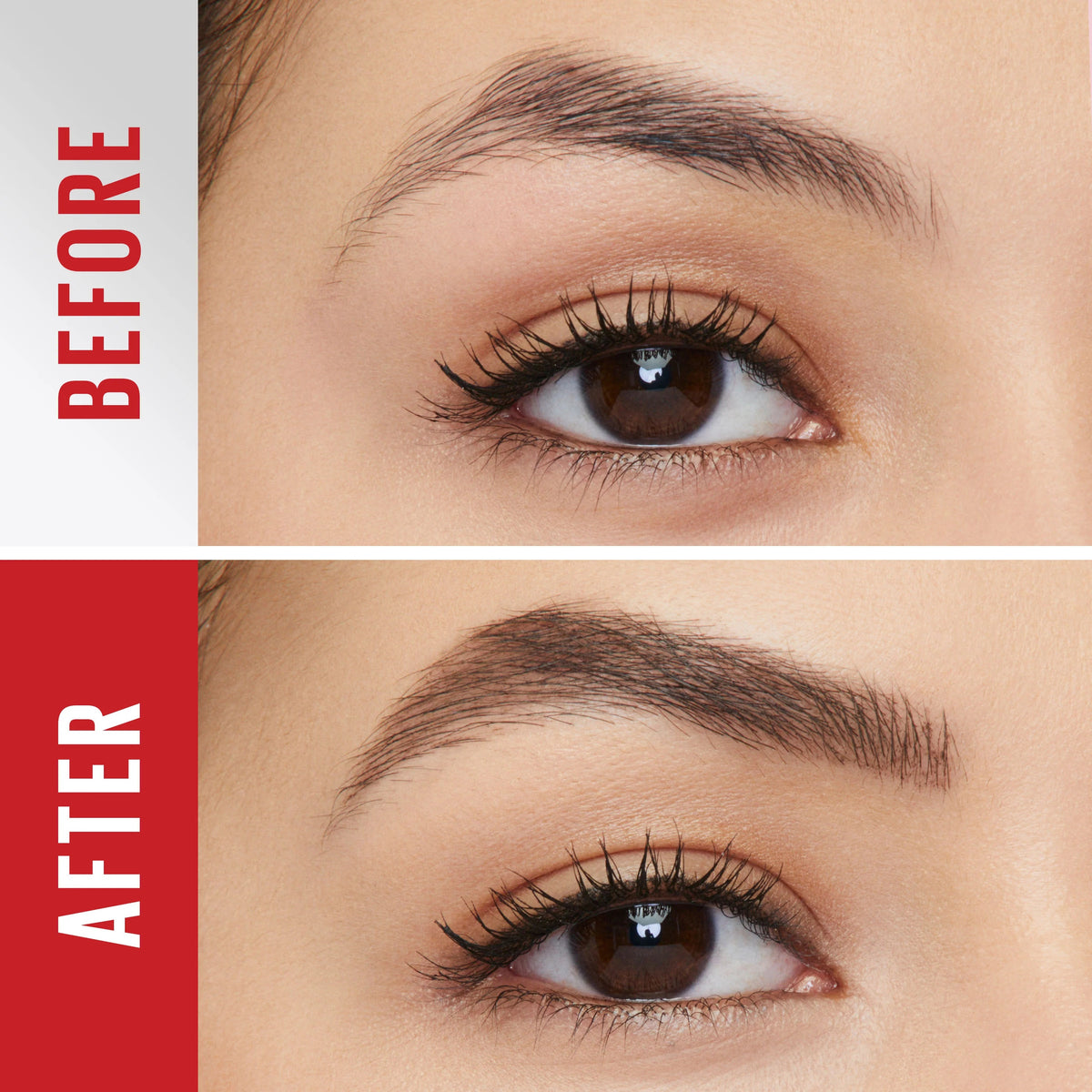Maybelline Tattoo Brow Gel – 3-Day Waterproof Eyebrow Styling-5