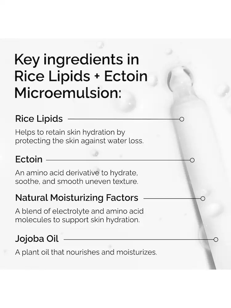 The Ordinary Rice Lipids + Ectoin Microemulsion Moisturizer 120ml | Barrier Repair and  Hydrating Cream
