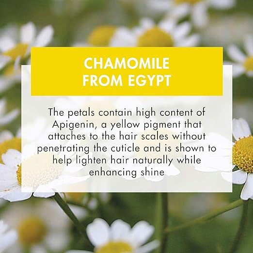Klorane Shampoo with Chamomile-3