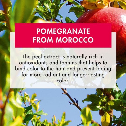 Klorane Color Enhancing Conditioner With Pomegranate-3